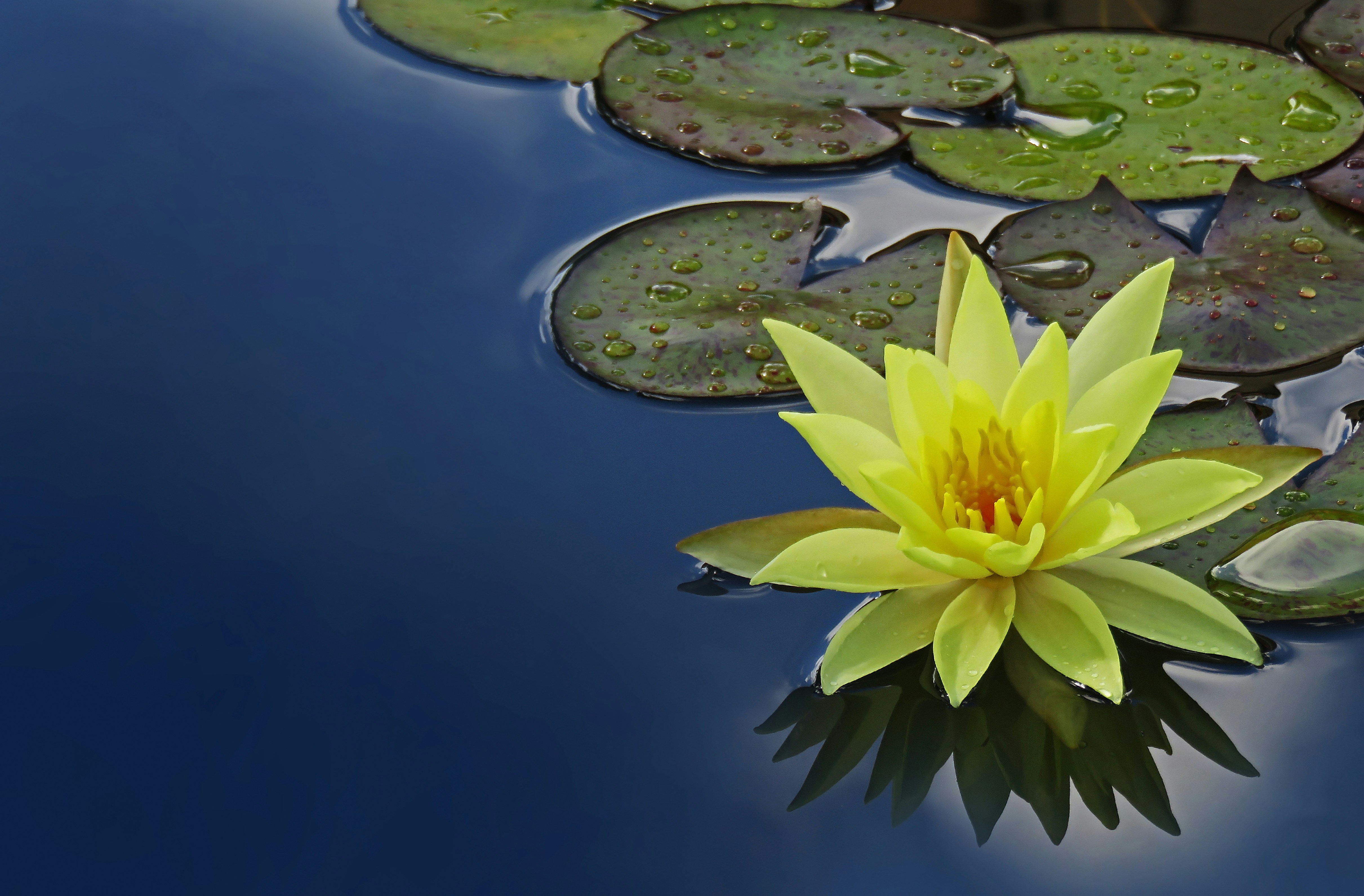 Photo by David Clode on Unsplash