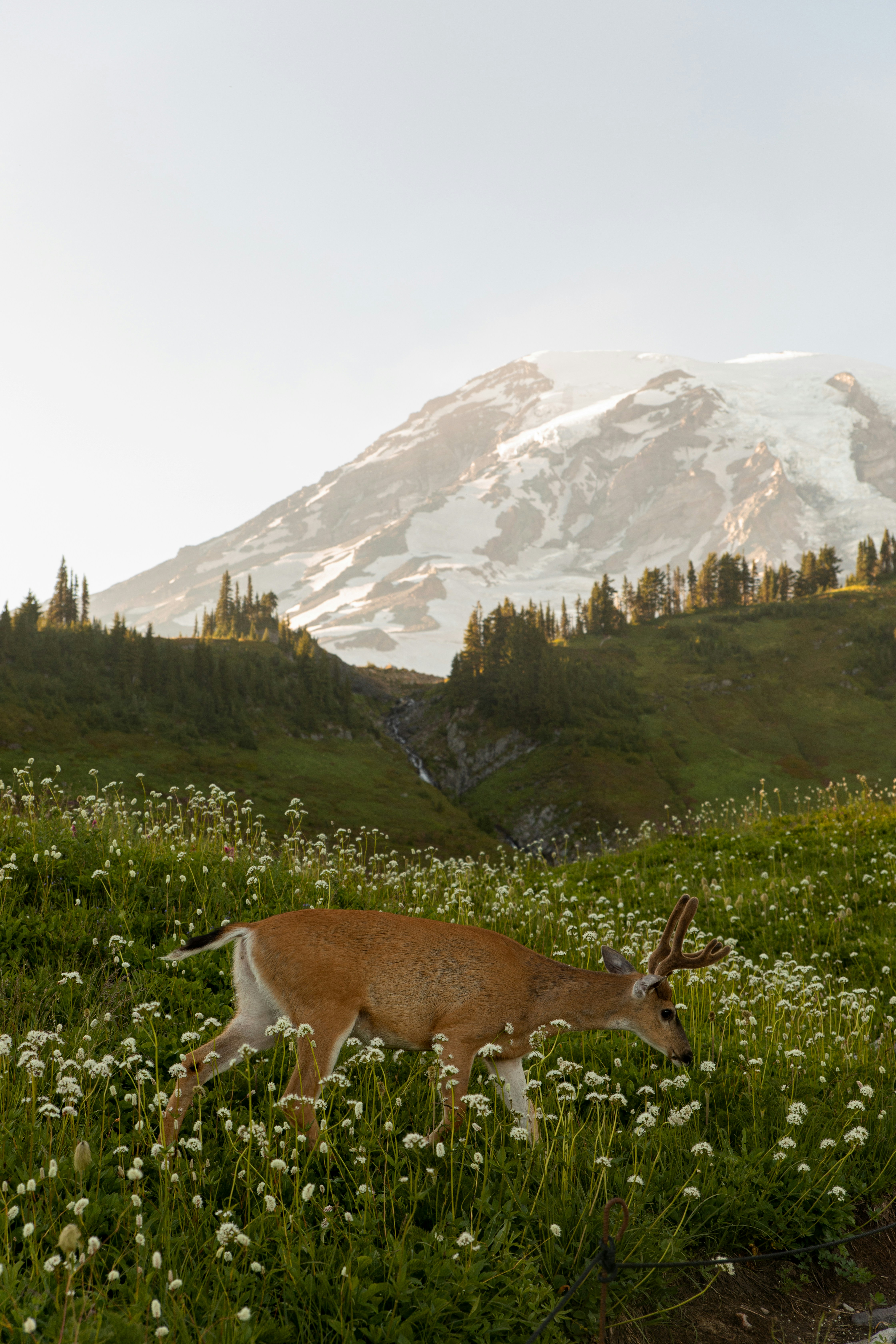 Photo by Emma Swoboda on Unsplash